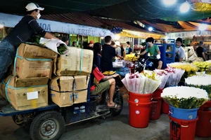 Video: Trắng đêm tại chợ hoa lớn nhất TP.HCM ngày giáp Tết