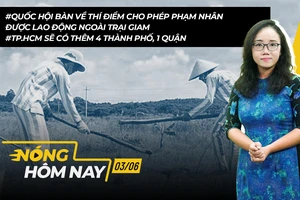 Nóng hôm nay: TP.HCM sẽ có thêm 4 thành phố, 1 quận