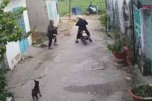 Video: Nhóm trộm chó lộng hành, bắt gần hết chó ở một khu vực 