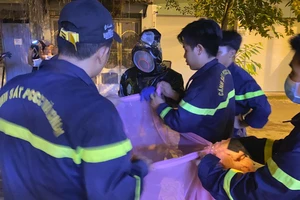 Video: Dời tổ ong vò vẽ đường kính gần 1 mét ra khỏi khu dân cư ở TP.HCM