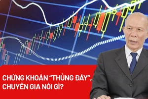Chứng khoán 'thủng đáy', chuyên gia nói gì?