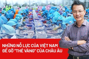 Những nỗ lực của Việt Nam để gỡ “thẻ vàng” của Châu Âu