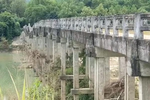 Video: Người dân lo lắng khi đi qua cây cầu cũ nát ở Bình Định
