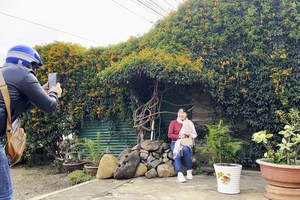 Video: Tiệm tạp hoá phủ kín hoa chùm ớt khiến vạn người mê 