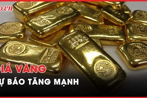 Nóng hôm nay: Cựu Chủ tịch Louis Holdings bị phạt 5 năm 6 tháng tù