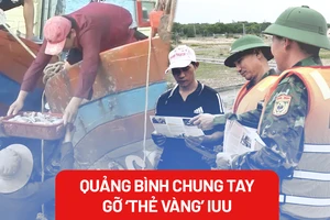 Nỗ lực và giải pháp của Quảng Bình trong việc chung tay gỡ 'thẻ vàng' IUU
