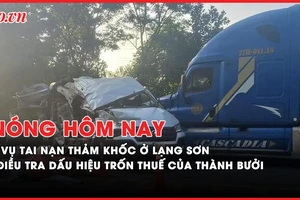 Nóng hôm nay: Điều tra dấu hiệu trốn thuế của công ty Thành Bưởi