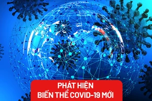 Phát hiện biến thể phụ COVID-19, chuyên gia khuyến cáo gì?