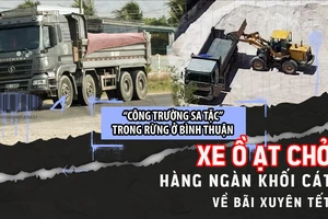 Video điều tra: Xe ồ ạt chở hàng ngàn khối cát về bãi xuyên tết