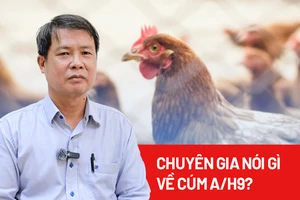 Việt Nam lần đầu ghi nhận ca mắc cúm A/H9, khuyến cáo gì?
