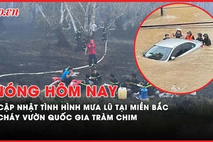 Nóng hôm nay: Cập nhật tình hình mưa lũ ở miền Bắc; Cháy tại Vườn quốc gia Tràm Chim
