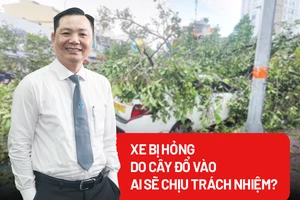 Xe bị hư hỏng do cây đổ đè vào, ai sẽ chịu trách nhiệm đền bù?