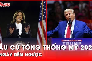 Bà Harris và ông Trump gấp rút chạy đua về đích trước ngày diễn ra bầu cử tổng thống Mỹ 2024