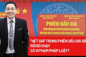 Hành vi 'hét giá' trong phiên đấu giá đất sẽ bị xử lý ra sao?
