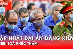 Video: Các bị cáo có mặt tại phiên tòa phúc thẩm đại án đăng kiểm