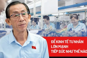 Để kinh tế tư nhân vươn mình trong kỷ nguyên mới: Tiếp sức như thế nào?