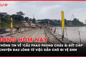 Nóng hôm nay: Án mạng từ việc dẫn chó đi vệ sinh trước nhà hàng xóm; Thông tin về 'cầu phao Phong Châu bị đứt cáp, mất kiểm soát'