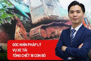 Xe tải mất phanh tông chết 18 con bò: Trách nhiệm pháp lý thuộc về ai? 