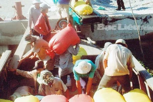 Giá gạo xuất khẩu tăng trở lại