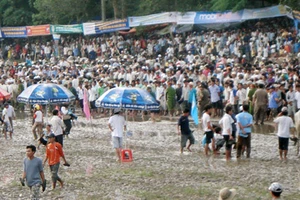 An Giang: “Hooligan” phá bĩnh giải đua bò Bảy Núi