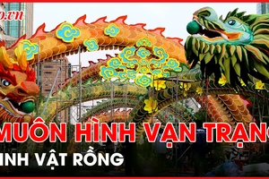 Muôn hình vạn trạng linh vật rồng
