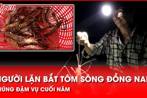 Người dân ven sông Đồng Nai trúng tôm càng xanh, vui đón tết