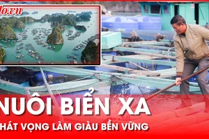 Nuôi biển xa – Hướng đi mới giúp ngư dân làm giàu bền vững