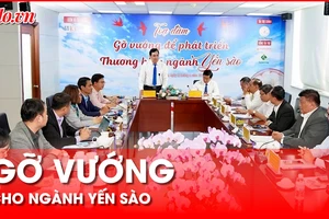 Gỡ vướng cho việc xây dựng thương hiệu ngành yến sào
