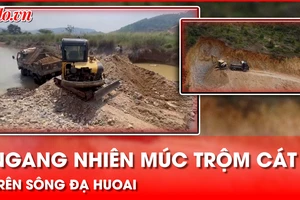 Lâm Đồng: Tạm giữ máy cuốc, xe ben ngang nhiên múc trộm cát giữa ban ngày