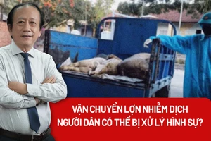 Lợn nhiễm bệnh vẫn bị tuồn ra thị trường: Ai chịu trách nhiệm?