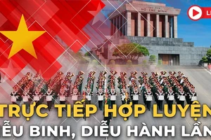 Trực tiếp: Tổng hợp luyện diễu binh, diễu hành lần 2 trên Quảng trường Ba Đình