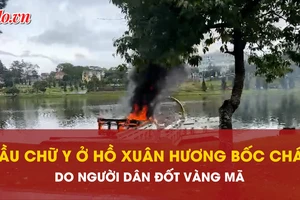  Cầu chữ Y ở hồ Xuân Hương bất ngờ bốc cháy