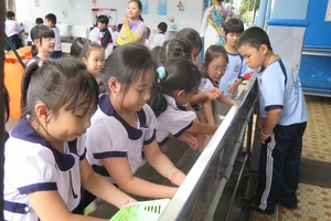 Giáo viên tiểu học kiêm giữ trẻ bán trú