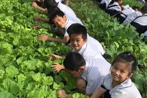 Độc đáo phiên chợ rau sạch của học sinh lớp 1