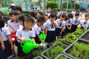 Đã mắt ngắm vườn rau xanh mướt của HS tiểu học 