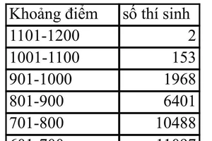 Thủ khoa thi đánh giá năng lực đợt hai đạt 1.108 điểm