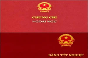 6 trường hợp sẽ bị thu hồi, hủy bỏ văn bằng hoặc chứng chỉ