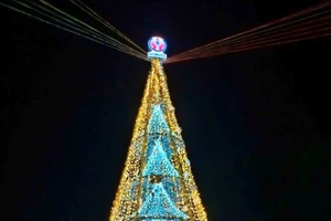 Ngắm cây Giáng sinh 11 m thông minh do sinh viên thiết kế