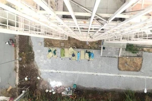 Chia sẻ xúc động của tác giả bức ảnh gây bão mạng 