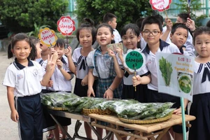 Trường học ở TP.HCM được tổ chức hoạt động ngoại khóa trở lại