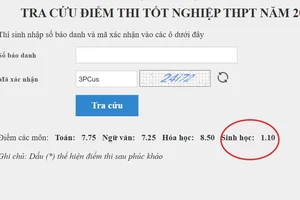 Có thí sinh từ 1,1 điểm tăng vọt lên 8,75 điểm sau phúc khảo bài thi tốt nghiệp THPT