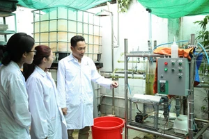 Trường ĐH Bách khoa TP.HCM tung mức lương đến 85 triệu/tháng 'săn' giảng viên