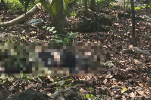 Thanh niên có hình xăm Samurai cưỡi hổ tử vong bất thường trong vườn nhà dân