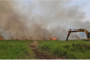 Cháy khu đất trống ở quận Bình Tân, đe dọa hàng chục nhà dân chung quanh