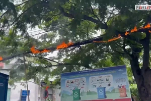 Điện lực Bình Chánh phản hồi thông tin vụ cháy khiến hàng trăm hộ dân mất điện