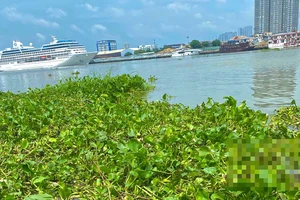 Công an điều tra vụ thi thể thai nhi được phát hiện bên bờ sông ở TP Thủ Đức