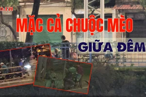 VIDEO ĐIỀU TRA - Bài 3: Giáp mặt ‘mèo tặc’: Mặc cả chuộc mèo giữa đêm