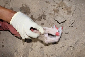 Phát hiện thi thể nữ trôi sông Sài Gòn, bàn tay phải có 6 ngón sơn màu đỏ