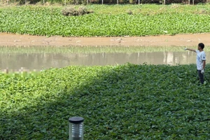 Thi thể nam giới dưới rạch, trên áo có dòng chữ Drik Up The Past