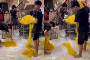 1 cơ sở ở TP.HCM sản xuất 800 tấn mì tươi trộn hàn the